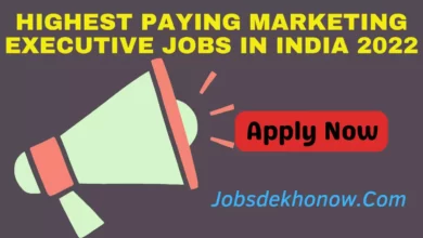 Highest Paying Marketing Executive Jobs In India 2022
