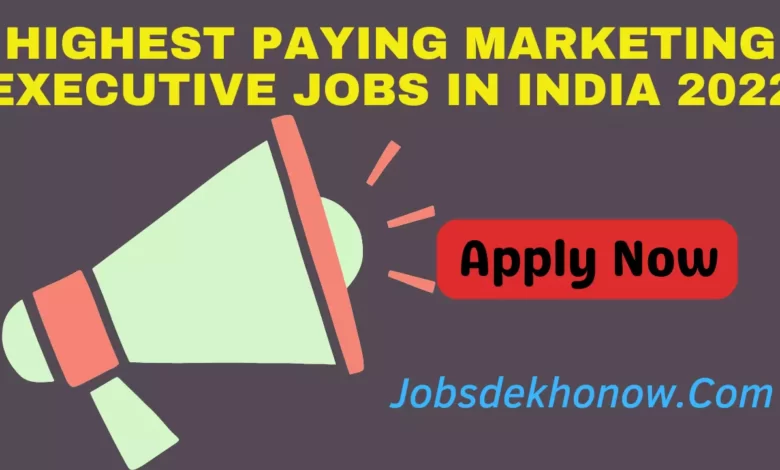 Highest Paying Marketing Executive Jobs In India 2022